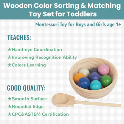 ColorMatch Masters – Montessori Wooden Color & Sorting Cups Set
